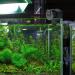 Automatic Fish Tank Feeder - Aquarium Food Dispenser for Vacation - Black - Buy Online on GoSupps.com