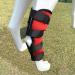Dog Leg Brace 2 Pack Canine Dog Leg Joint Wraps Compression Brace Protects Wounds Prevents Injuries and Sprains Helps with Loss of Stability Caused by Arthritis Pet Kneepad|Red (L) - Buy Online on GoSupps.com