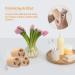 PioneerHiker 100% Natural Unbleached Loofah Sponge - Exfoliating Bath Scrubber for Adults - 3 Pack - Buy Online on GoSupps.com