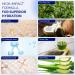 Buy 40% Urea Foot Cream with 2% Salicylic Acid - Intensive Moisturizing & Exfoliating for Dry Cracked Heels Feet Hands Elbows & Knees - 4.6 oz Deep Repair - Buy Online on GoSupps.com
