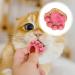 Kitten Treats - Cat Treats for Indoor Cats - Natural Healthy Cat Snacks Treats | Cat Paw Biscuits Cat Treat | Dry Cat Treats Kitten Treats | Kitten Treats Paw Shape Cat Food Treats | Treats for Cat Pink - Buy Online on GoSupps.com