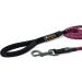 OllyDog Mountain Leash | Climbing-Inspired Rope Dog Leash 5ft | Padded Handle | Dog Accessories - Buy Online on GoSupps.com