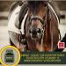 Rice Germ Oil Flaxseed Oil Amino Acids 2*1L 30ml for Horses Plus Vitamin E + Amino More Complex Muscle Building Selenium Free Lysine Replenishing Food Supplement - Buy Online on GoSupps.com