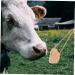 BESPORTBLE 4pcs Salt Blocks Add Elements Pet Animals Lick Salt Hanging Lick Salt Small Salt Brick Mineral 20.00X5.00X4.00CM Assorted Color - Buy Online on GoSupps.com