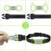 Tagme 2 Pack Dog Tags for Small & Medium Breeds - Personalized Engraved Tags in Green - Buy Online on GoSupps.com