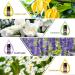 Floral Essential Oils Gift Set - 12 x 10ml Bottles for Aromatherapy and Candle Making - Buy Online on GoSupps.com