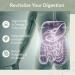 SIMPLEME Colon Cleanse Detox - Natural Relief for Constipation & Bloating - 30-Day Gut Support for Weight Management - 30 Capsules - Buy Online on GoSupps.com