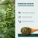 Soeos Grade A Green Sichuan Peppercorns - Strong Flavor, Less Seeds - 4 oz - Buy Online on GoSupps.com