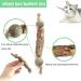 5 Organic Catnip Sticks for Teeth Cleaning - Cat Dental Care Chewing Toy Set - Buy Online on GoSupps.com