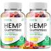 Fortin Gummies - Fortin Hemp Gummies Fortin Official Formula Hemp Gummies - Natural Hemp Oil Advanced Formulation Fortin Hemp Gummies Reviews (2 Pack - 120 Gummies)