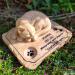 SoMiss Personalized Pet Memorial Stone with Sleeping Kitten | 8x6.5x3 Grave Marker - Buy Online on GoSupps.com