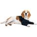 MPS Medical Pet Shirt for Dogs - Double Front Leg Cuff XXS | International Shipping Available - Buy Online on GoSupps.com