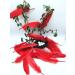 100pcs Red Goose Feathers 6-8 Inch - Ideal for Crafts, Wedding Decor, Clothing Accessories - Buy Online on GoSupps.com