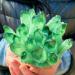 Beautiful Green Quartz Crystal Cluster Specimen Suitable for Home HOMEZHOU (Size : 800-900g)
