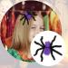 Sirseon Halloween Hair Clips - Halloween Spider Shape Hairpins - Spider Design Pins Portable Spider Shape Hair Pin for Girls Family Friends Purple - Buy Online on GoSupps.com