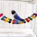 6-Pack Bird Parrot Swing Ladders & Chewing Toys - Cage Accessories for Small Parakeets, Cockatiels, Lovebirds, Conures, Macaws, Finches - Buy Online on GoSupps.com