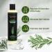 Shampooing bio pour la croissance des cheveux au romarin pour femmes et hommes shampooing naturel pour renforcer et paissir avec k ratine hydrolys e pour cheveux fins et perte de cheveux 7 4 ml - Buy Online on GoSupps.com