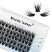 Individual Lashes C Curl Cluster Lashes 0.07mm 15mm DIY Lash Extensions Wide Stem Individual Eyelash Clusters Reusable Soft and Wispy Clusters Eyelash Extensions(FD-D29-0.07-C-15) RR-15mm D29-0.07-C