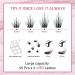 180 Pcs Cluster Lashes DIY Eyelash Extensions - Attraction D-10-16 Mix - Easy to Apply Individual Lashes for Home Use - Buy Online on GoSupps.com