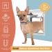 Hakuna Pets Deluxe Aluminum Pet Door for Screens, Doors & Walls up to 2.76 Thick - Small (Up to 20 lbs) - White - Buy Online on GoSupps.com