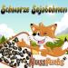 Buy Black Soybeans 2kg - Roasted & Salted Vegan Snack | Gluten-Free No Additives Healthy Edamame Beans - Nut Fox - Buy Online on GoSupps.com