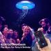 36W LED Ceiling Lamp with Bluetooth Speaker - Smart RGBW Adjustable Ceiling Light with Remote & App Control for Bedroom Kitchen Bathroom & Living Room - 30cm - Buy Online on GoSupps.com