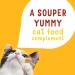 Friskies Lil' Soups Cat Food Complement Flaked Chicken - 34 g Cup (8 Pack) Flaked Chicken in Tuna Broth - Buy Online on GoSupps.com
