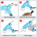 IZIO Mini Glue Gun Kit with 30 Premium Glue Sticks - Fast Preheating, Lightweight Design for Home/Office Repairs - High Viscosity, Quick Sealing DIY Tool (Blue) - Buy Online on GoSupps.com