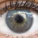 Shop Salo Gray Silicone Comfort Contact Lenses | Natural Gray Color | International Shipping - Glamlens 1 Pair - Buy Online on GoSupps.com
