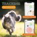 Weeneect XS for Cats - Mini GPS Tracker | Real-Time Tracking | Unlimited Distance | Smallest Model | Collar Included | 2023 Subscription - Buy Online on GoSupps.com