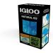 Igloo Maxcold Natural Ice Sheet 88 Cube - 15 x 18.5 Inches - Blue - Reusable Ice Pack - Buy Online on GoSupps.com