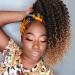 ColorfulPanda Afro Kinky Curly Ponytail for Black Women Ombre Blonde Brown Drawstring Ponytail Synthetic Hair Extension Curly Ponytail with Clip-in Hairpiece (Ombre Brown)