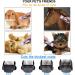 Dog Grooming Clippers Cordless 3 Speed Professional Electric Pet Hair Grooming Clippers Kit Low Noise Pet Clippers Rechargeable Dog Cat Shaver Pet Hair Trimmer for Thick Coats Small Dog All Pets - Buy Online on GoSupps.com