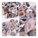 Natural Crystal Rough for 1Pcs Geodes OCO Agate Natural Crystals Druzy Halves Quartz Specimens DIY Decor Raw Stones and Minerals (Size : 1-3.5cm) (Size : 1-3.5cm)