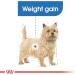 Royal Canin Light Weight Care Wet Adult Dog Food 85g (Pack of 12) Meat 85 g (Pack of 12) - Buy Online on GoSupps.com