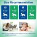 Buy PET Soft Disposable Diapers for Dogs & Cats | 24 Count Adjustable Dog Diapers for Bitches - International Shipping Available - Buy Online on GoSupps.com