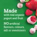 GERBER ORGANIC YOGURT MELTS Red Berry Toddler Snacks Melts 12+ months 28 g 7 Pack - Buy Online on GoSupps.com