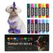 Dye De Cheveux Pour Chiens - Peinture De Couleur De Cheveux Crayon | Couleurs Pour Les Coiffures Pour Chiens Stylos | Peinture De Couleur De Cheveux Temporaire Adapt e Au Toilettage Pour Animaux De Co