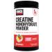 Force Factor Creatine Monohydrate Powder 5g Micronized Dose to Support Muscle Growth Strength Recovery Cognitive Health & Working Memory Raspberry Lemonade 100 Servings