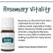 Buy Young Living Rosemary Vitality Essential Oil 5 ml | Antioxidant-Rich Herbaceous Flavor Immune Support & Culinary Uses - International Shipping Available - Buy Online on GoSupps.com