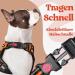 Rabbitgoo Dog Harness for Small Dogs - Adjustable No-Choke Softly Padded Reflective with Handle - Anti-Train Design - 1 Pack Orange - Buy Online on GoSupps.com