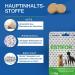 Nutrilabs Acid Protect Dog Stomach Herbs - Chewable Tablets for Sensitive Stomach Support with Montmorillonite & Estifor | 10 Tablet Bundle - Buy Online on GoSupps.com