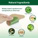 Laycaw Pain Relief Patches - 24 Count Natural Hot Herbal Heat Patch for Knee, Shoulder, and Neck Pain - Buy Online on GoSupps.com