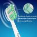 10 Pack Replacement Heads for Philips Sonicare - Compatible with ProtectiveClean, DailyClean, ExpertClean, FlexCare, HealthyWhite - Fits 2 Series, 3 Series, EasyClean - Toothbrush Heads for G2, C2, C3, 4100, 5100, 6100 - Buy Online on GoSupps.com