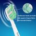 Vochigh Replacement Toothbrush-Heads Compatible with Philips Sonicare DiamondClean: fits Plaque Control& HealthyWhite Electric Toothbrush 10 Pack - Buy Online on GoSupps.com