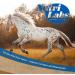 Nutrilabs Hoof Support Pellets 3 KG - Premium Dietary Supplement for Horse Hoof Care with Biotin & MSM | Enhance Equine Health - Buy Online on GoSupps.com