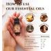 Organic Copaiba Essential Oil 10ml - 100% Pure Therapeutic Grade for Aromatherapy & Massage - Buy Online on GoSupps.com