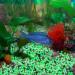 300 Colorful Fluorescent Stones - Bright Garden Pebbles for Walkways Aquariums & Lawn Decoration (Green 17x13mm) - Buy Online on GoSupps.com