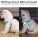 Rennaio No Pull Dog Harness & Leash Set - Adjustable Ultra Breathable Padded Chest Harness with Puppy Dishes & Clips for Small/Medium Dogs - Cyan M - Buy Online on GoSupps.com