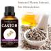 Sedbuwza Castor Essential Oil Cold Pressed 100% Pure and Natural Premium Castor Fragrance Oil with Eyelash Applicator and Dropper - 100ml Castor 100 ml (Pack of 1) - Buy Online on GoSupps.com